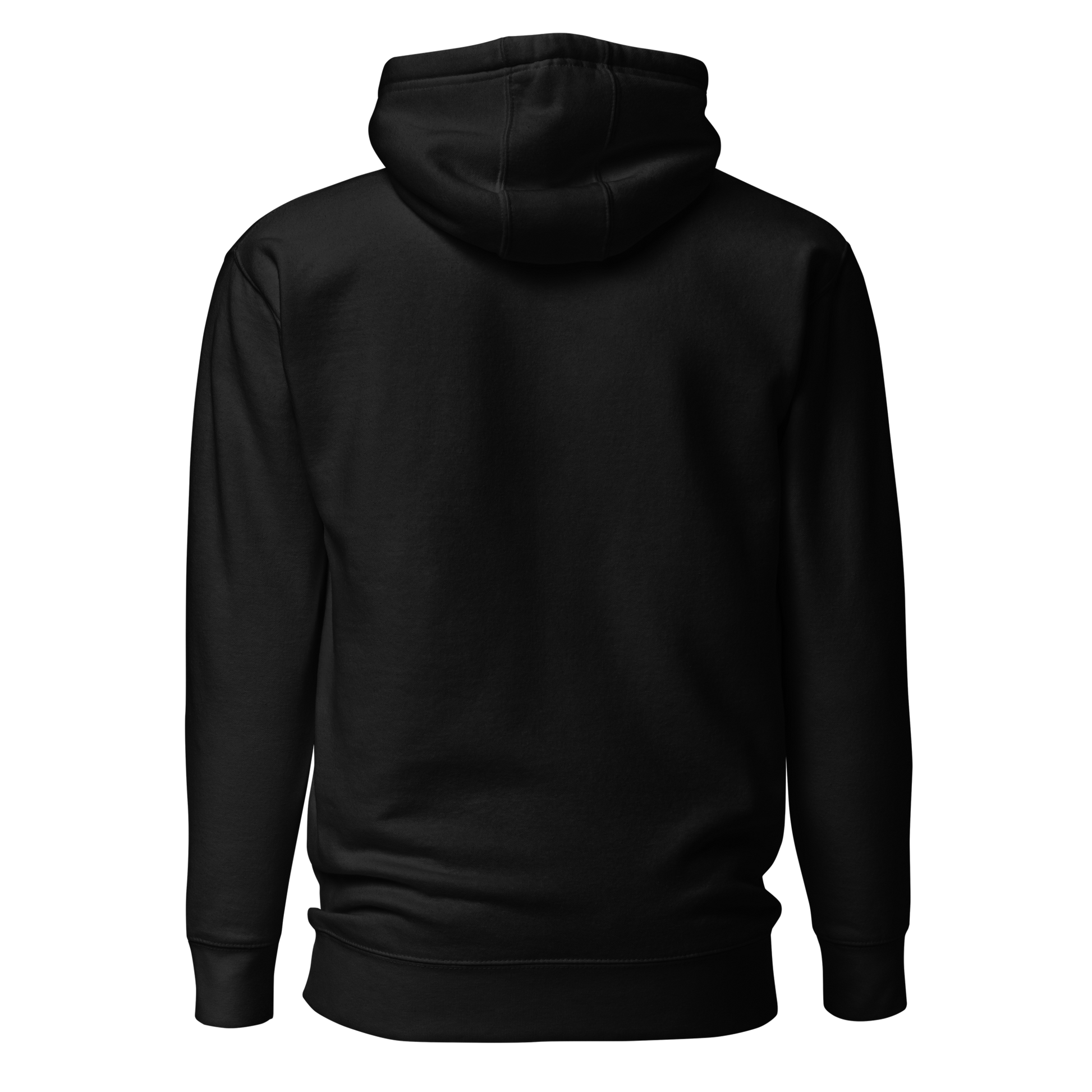 Color: Black | Still Point hoodie back view