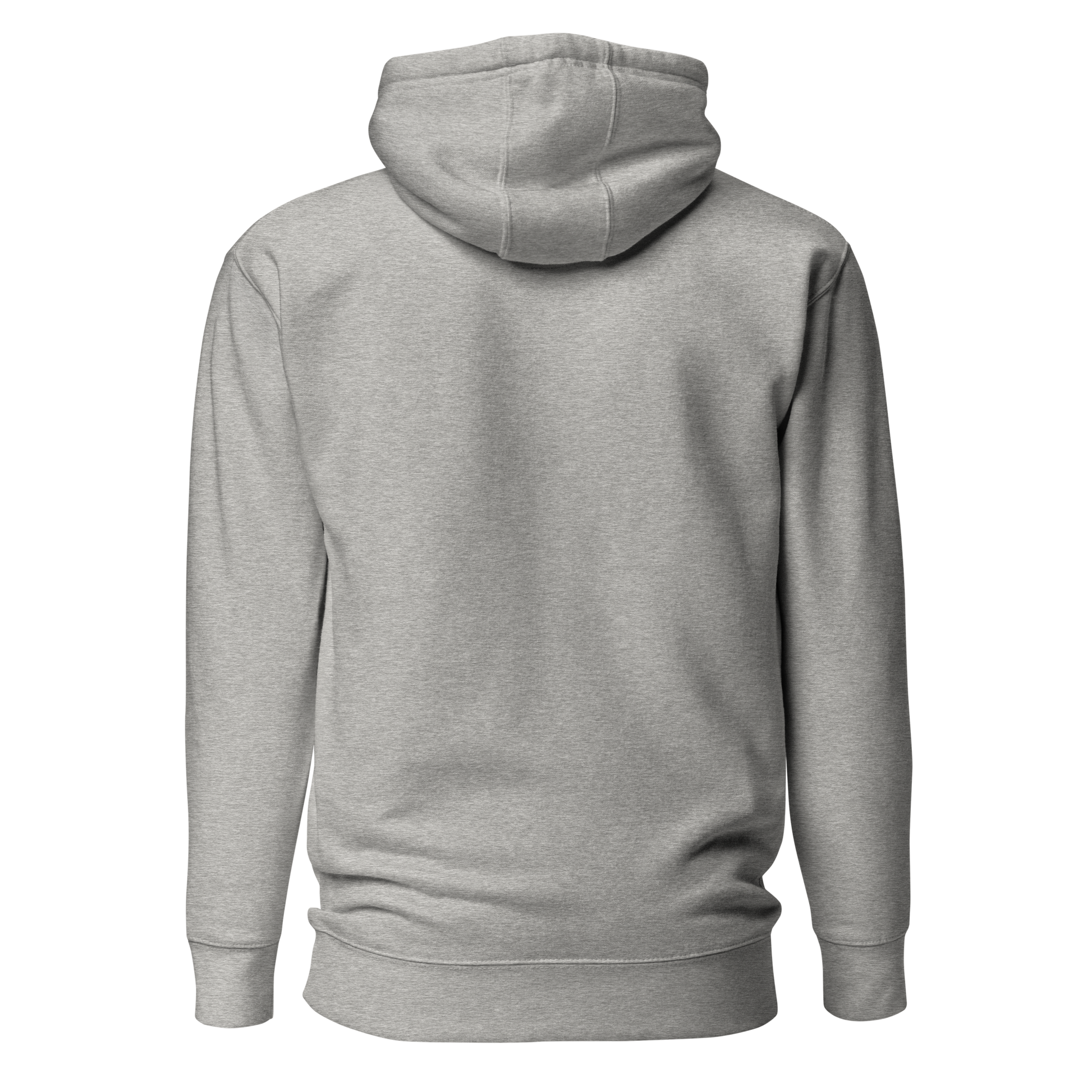 Color: Carbon Grey | Color Divide Front hoodie back view